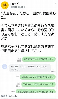 Beeペイとのやり取り1